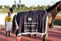 Hippisme : Le cheval Mayar remporte le GP Feu SM Mohammed V