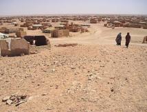Les violations des droits de l'Homme dénoncées à Dakhla par une ONG des camps de Tindouf