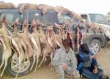 Les gardiens de la réserve de Safia menacés de mort par des braconniers