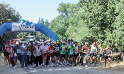 Sur les pas du Marathon international des cèdres 
