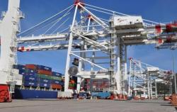 Tanger Med 2014 : le trafic de conteneurs en hausse de 24 % au premier semestre