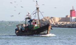 Grogne des professionnels de la pêche côtière