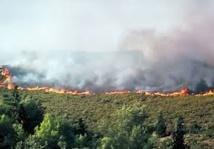 Incendie de forêt près de Tétouan