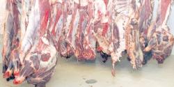 Importante saisie de viande avariée à Berrechid