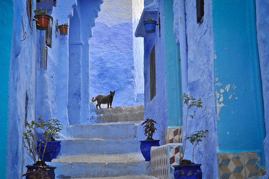 شفشاون مدينة زرقاء المغرب