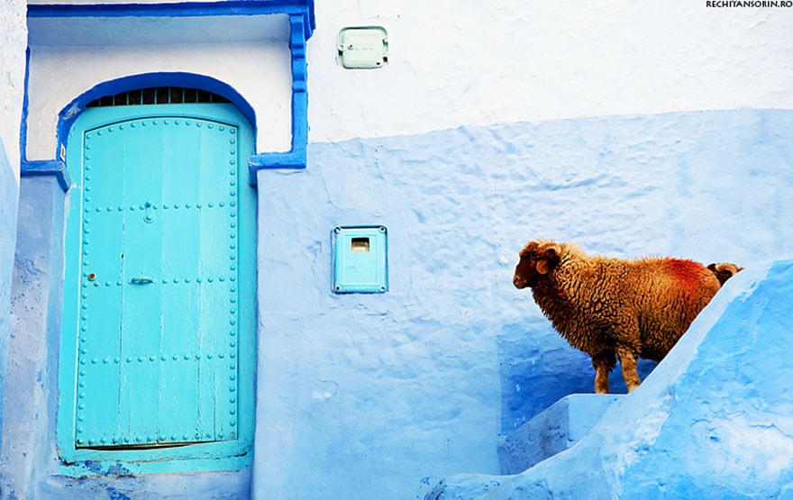 شفشاون مدينة زرقاء المغرب