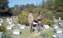À la recherche d’un nouveau souffle pour l’apiculture