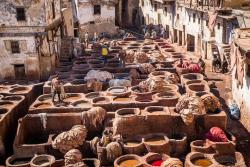 Les tanneries traditionnelles de Fès, au Maroc