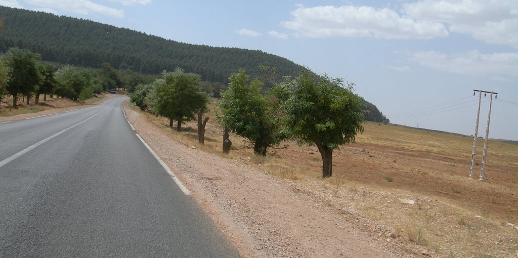 IFRANE