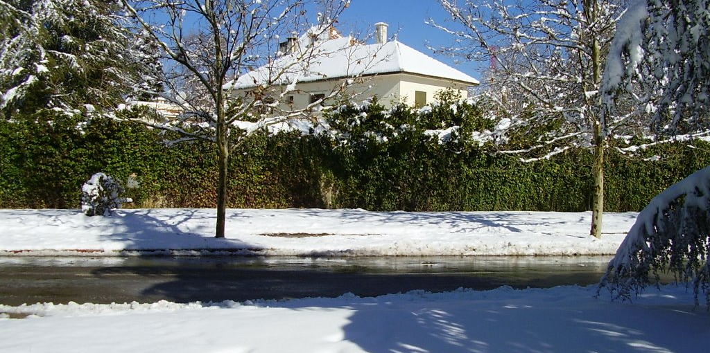Ifrane en Neige - 3