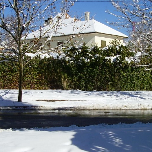 Ifrane en Neige - 3