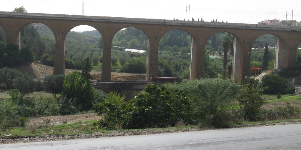 Pont Oued Wisslane